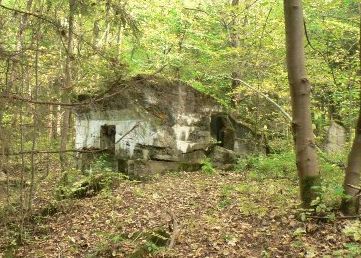 Budunki Kwatery Naczelnego Dowództwa Luftwaffe w lesie Kumiecie.